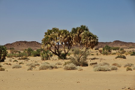 The ruins of the ancient monastery of Ghazali, Sudan, Africaの写真素材