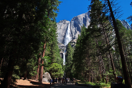 Yosemite National Park in California, USAの写真素材