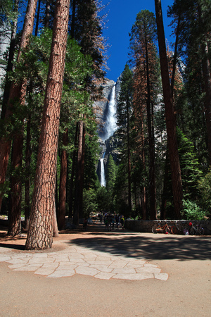 Yosemite National Park in California, USAの写真素材