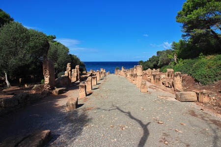 Tipaza Roman ruins in Algeria, Africaの写真素材