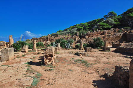Tipaza Roman ruins in Algeria, Africaの写真素材