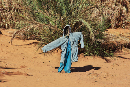 Timimun abandoned city in Sahara desert, Algeriaの写真素材