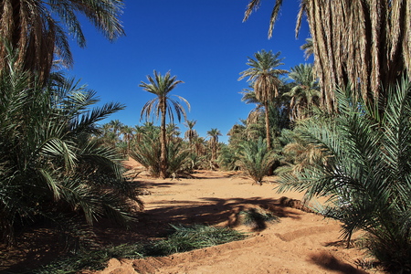 Timimun abandoned city in Sahara desert, Algeriaの写真素材