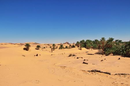 Dunes of sands in Sahara desertの写真素材