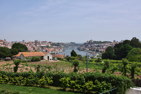 The view on Porto city, Portugalの写真素材