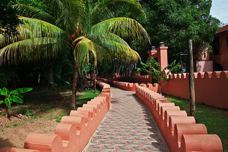 Prison Island on Zanzibar, Tanzaniaの写真素材