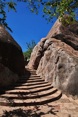 Safari in Kenia and Tanzania, Africaの写真素材