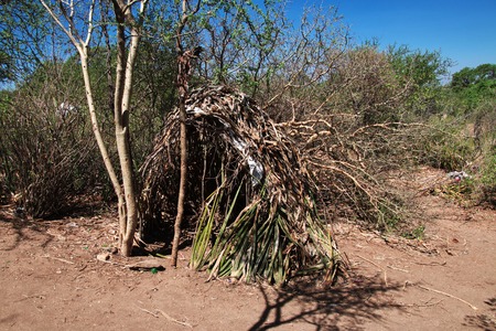 the life of the Bushmen, Africaの写真素材
