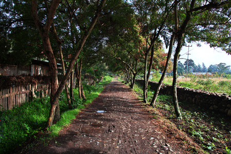 The park in Wamena city, Papuaの写真素材