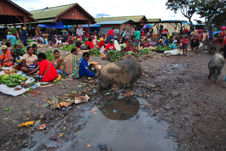 Wamena/Papua, Indonesia - 10 Aug 2016. Local market in Wamena city, Papuaのeditorial素材