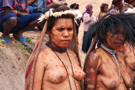 Wamena/Papua, Indonesia - 08 Aug 2016. National festival of local tribes in Wamena city, Papuaのeditorial素材