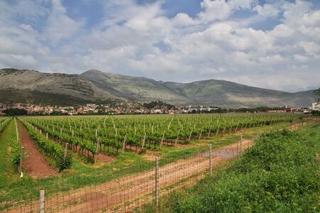 Green mountains of Bosnia and Herzegovinaの写真素材