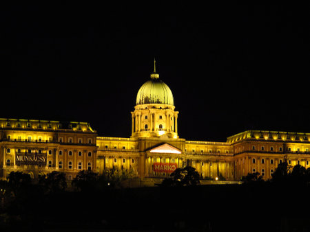 Budapest / Hungary - 12 Jun 2011: The view on Royal palace in Budapest at night, Hungaryのeditorial素材