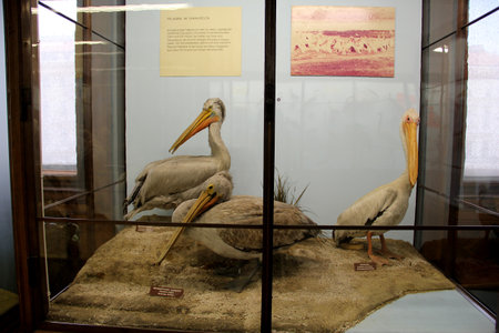 Vienna / Austria - 10 Jun 2011: History museum in Vienna, Austriaのeditorial素材