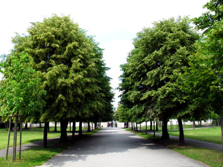 Vienna / Austria - 10 Jun 2011: Belvedere palace in Vienna, Austriaのeditorial素材
