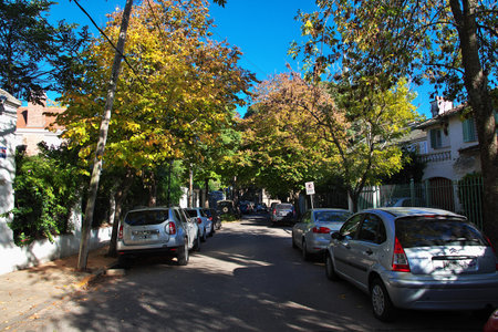 Buenos Aires / Argentina - 03 May 2016: The street in Tigre delta district, Buenos Aires, Argentinaのeditorial素材