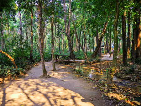Luang Prabang / Laos - 25 Feb 2012: The park in the jungle, Laosのeditorial素材