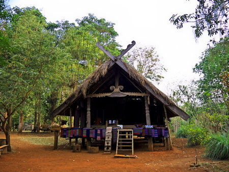Mekong / Laos - 29 Feb 2012: The small village on south Laosのeditorial素材
