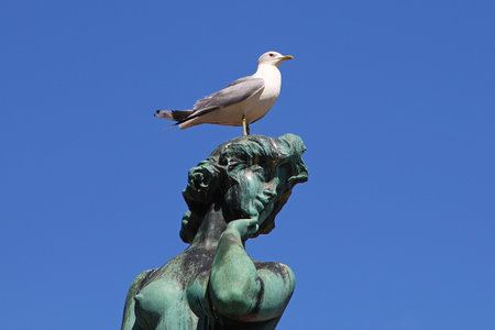 Helsinki / Finland - 22 Jun 2012: The monument in Helsinki, Finlandのeditorial素材