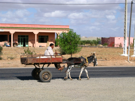 Sahara desert / Morocco - 01 Nov 2010: The wagon with donkey in the small village, Moroccoのeditorial素材