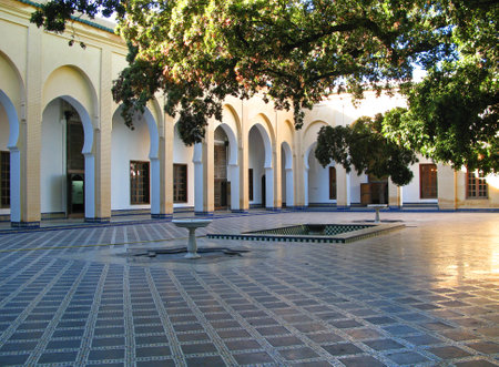 Fez / Morocco - 04 Nov 2010: The vintage palace in Fez, Moroccoのeditorial素材