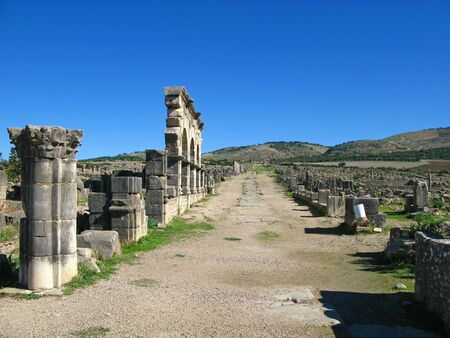Roman ruins in Volubilis, Moroccoの写真素材