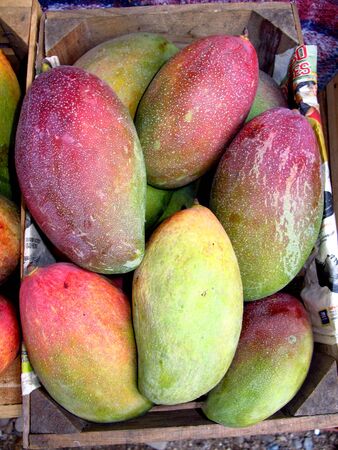 The local market in Mexico countryの写真素材