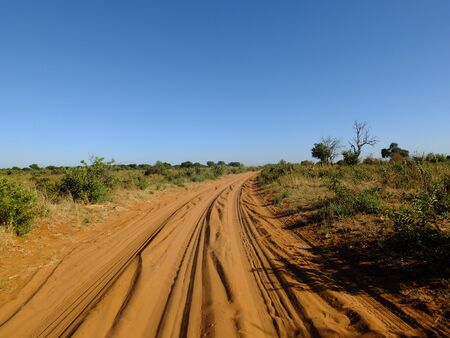 The safari in Chobe national park, Botswana, Africaの写真素材