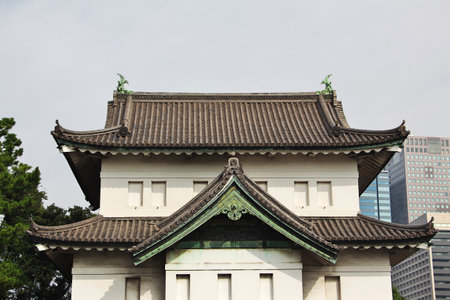 Tokyo / Japan - 03 Nov 2013: The Imperator palace, Tokyo, Japanのeditorial素材