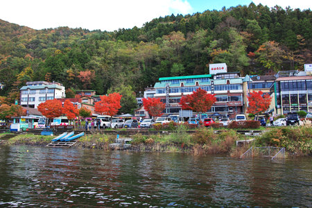 Fuji / Japan - 04 Nov 2013: Red maples Momiji in the national park Fuji at autumn, Japanのeditorial素材