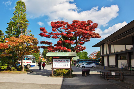 Nikko / Japan - 05 Nov 2013: Red maples Momiji, Nikko, Japanのeditorial素材