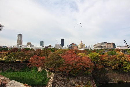 Osaka / Japan - 08 Nov 2013: The downtown of Osaka, Japanのeditorial素材
