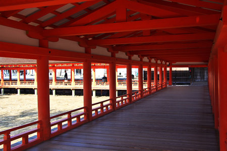 Miyajima / Japan - 08 Nov 2013: Itsukushima shrine, Miyajima island, Japanのeditorial素材