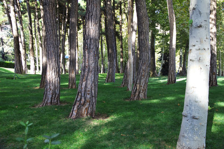 Tehran / Iran - 28 Sep 2012: Saadabad park in Tehran city, Iranのeditorial素材