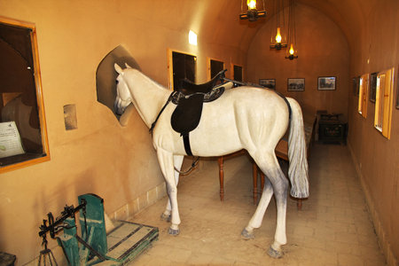 Meybod / Iran - 02 Oct 2012: The Horse in courtyard in the fortress Meybod, IranAncient Meybod Citadel in Iranのeditorial素材