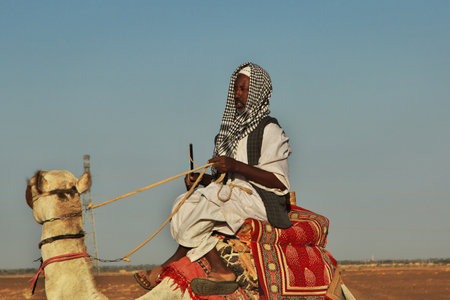 Sahara / Sudan - 20 Feb 2017: The ancient pyramids of Meroe in Sahara desert, Sudanのeditorial素材