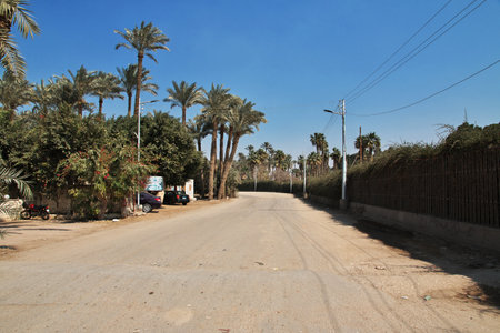 Memphis / Egypt - 04 Mar 2017: Memphis is the ancient capital of Egyptのeditorial素材