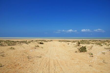 Qalansiyah Beach, Socotra island, Indian ocean, Yemenの写真素材