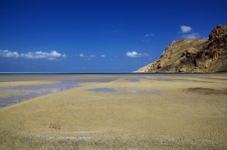 Qalansiyah Beach, Socotra island, Indian ocean, Yemenの写真素材