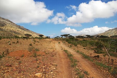 The road on Homhil plateau, Socotra island, Indian ocean, Yemenの写真素材
