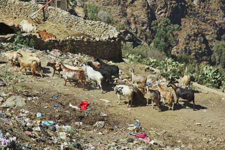 Al Manakhah / Yemen - 04 Jan 2013: Al Manakhah village in mountains, Yemenのeditorial素材