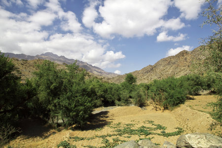 Wadi Sara / Yemen - 03 Jan 2013: Wadi Sara in mountains, Yemenのeditorial素材