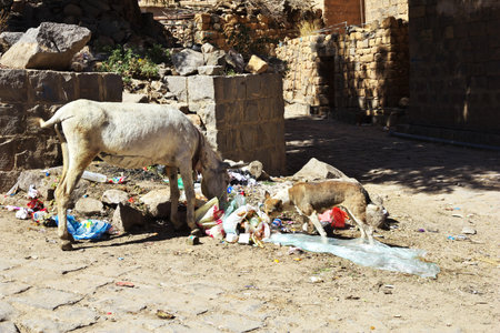 Shibam / Yemen - 02 Jan 2013: Shibam, the ancient village in mountains of Yemenのeditorial素材