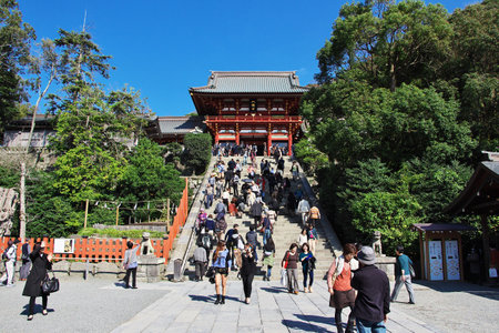 Kamakura / Japan - 06 Nov 2013: Tsurugaoka Hachimangu Shrine, Kamakura, Japanのeditorial素材