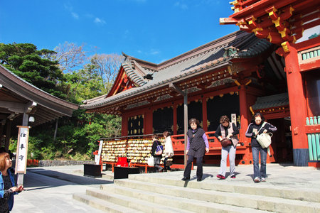 Kamakura / Japan - 06 Nov 2013: Tsurugaoka Hachimangu Shrine, Kamakura, Japanのeditorial素材