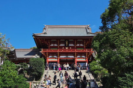 Kamakura / Japan - 06 Nov 2013: Tsurugaoka Hachimangu Shrine, Kamakura, Japanのeditorial素材