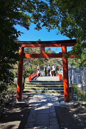 Kamakura / Japan - 06 Nov 2013: Tsurugaoka Hachimangu Shrine, Kamakura, Japanのeditorial素材