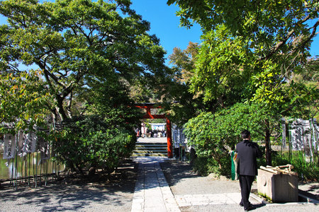 Kamakura / Japan - 06 Nov 2013: Tsurugaoka Hachimangu Shrine, Kamakura, Japanのeditorial素材