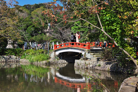 Kamakura / Japan - 06 Nov 2013: Tsurugaoka Hachimangu Shrine, Kamakura, Japanのeditorial素材