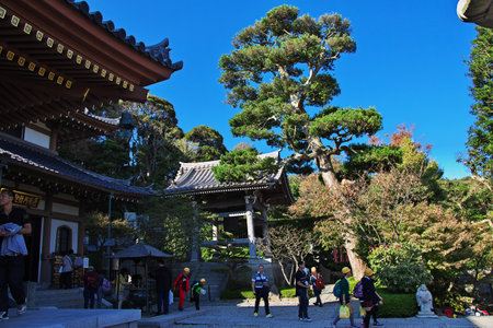 Kamakura / Japan - 06 Nov 2013: Hase-dera Temple in Kamakura, Japanのeditorial素材